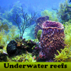 Underwater reefs spielen!